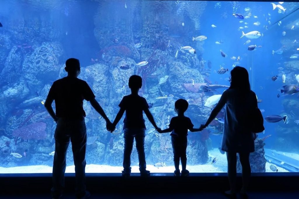 Jakarta Aquarium