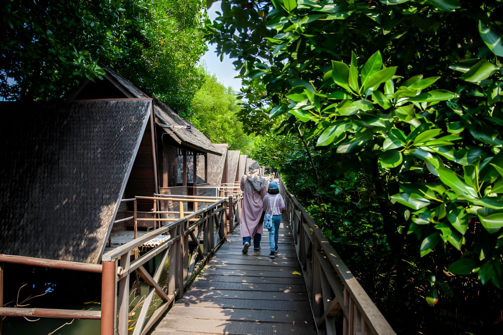 Taman Wisata Alam Mangrove