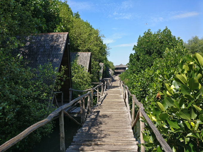 Taman Wisata Alam Mangrove