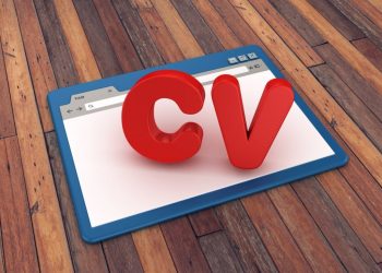 Contoh Template CV Menarik HRD