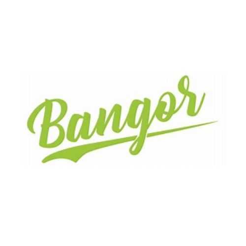 PT. Bangor Berkembang Bersama (Bangor Food Corp)