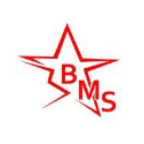 PT. Berkat Mandirindo Sejahtera