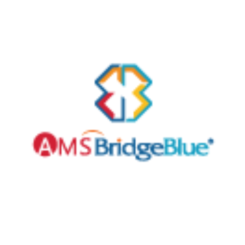 AMS Bridge Blue Indonesia