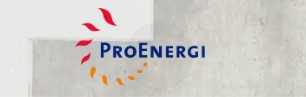 PT Pro Energi