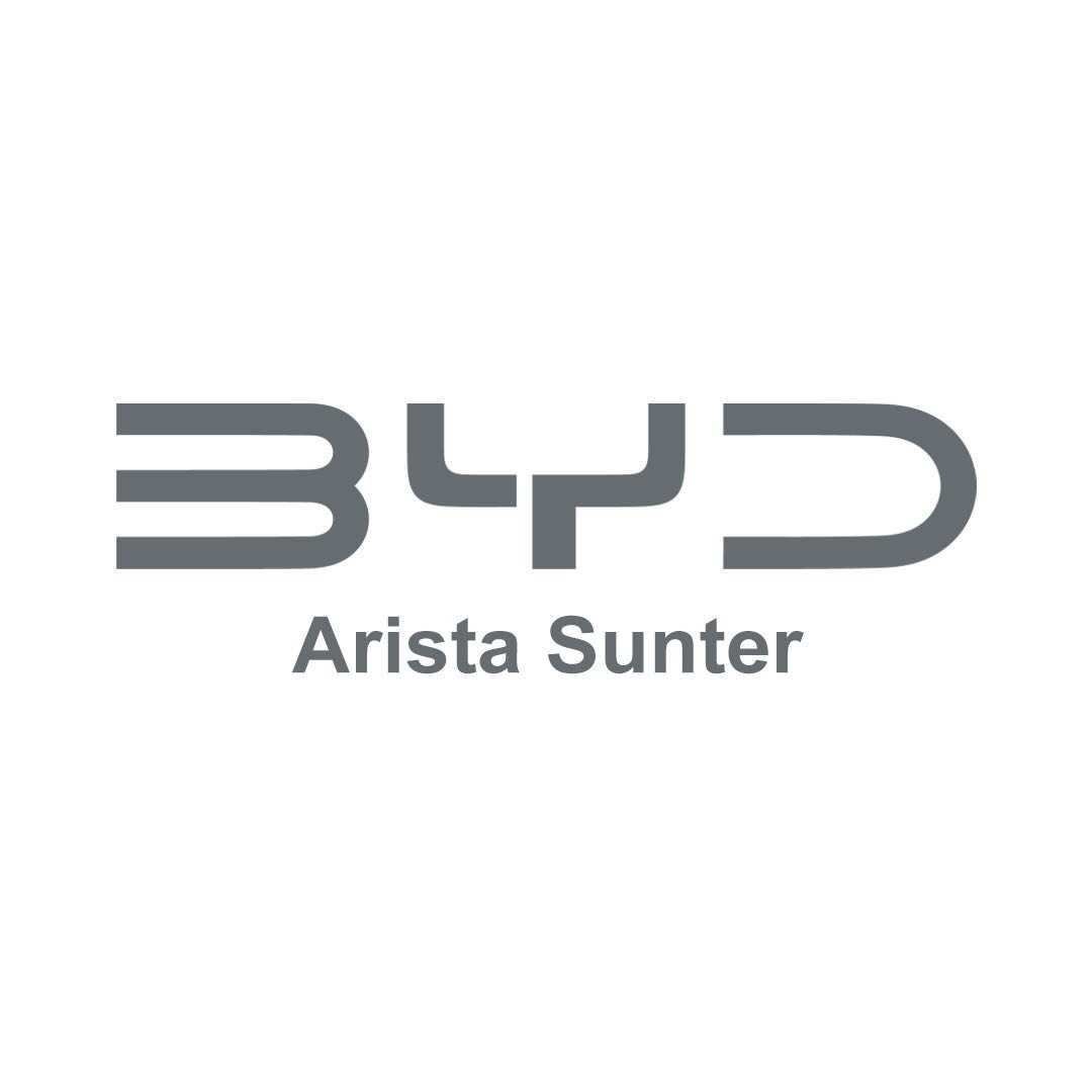 BYD Arista Sunter