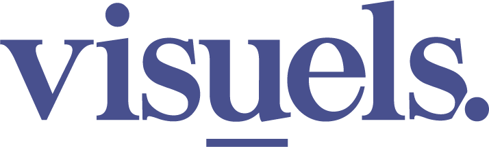 PT Visuels Inspirasi Digispora